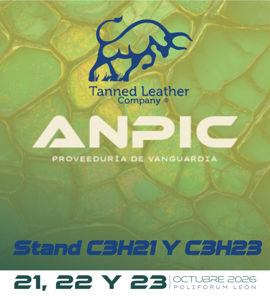 Anpic2 Toro Azul stand