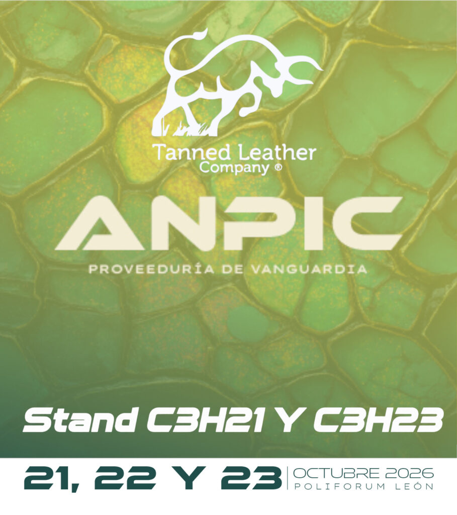 Anpic2 Toro Blanco stand